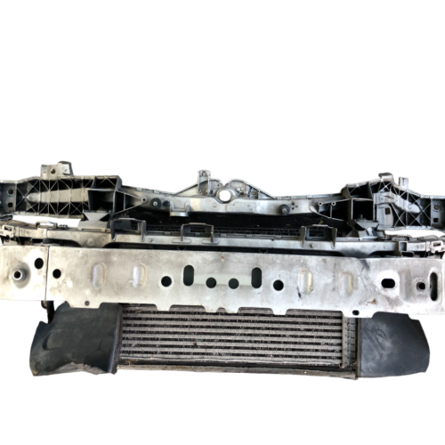 OSSATURA CALANDRA ANTERIORE RADIATORI RIVESTIMENTO FORD C-MAX 1.6 2003 AL 2010