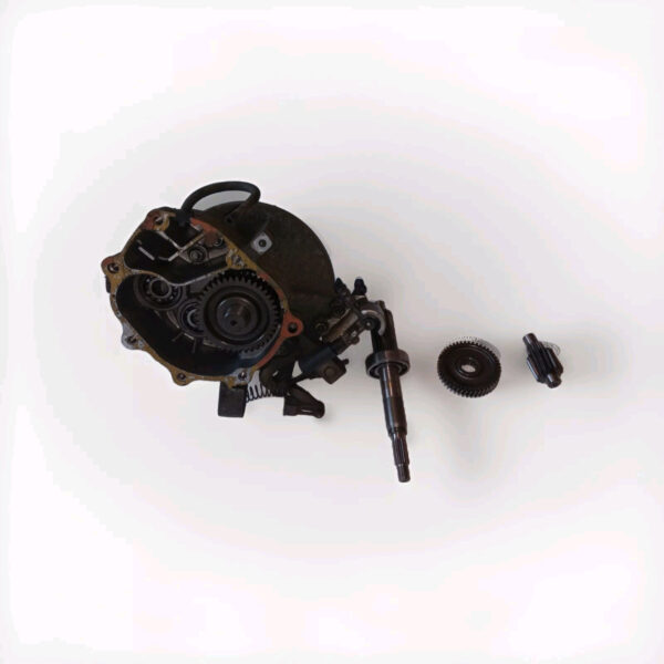 SET INGRANAGGI RUOTA POSTERIORE HONDA PANTHEON 125 150 2T 1998 99 2000 2001 2002