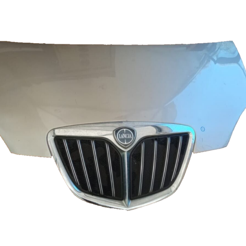 COFANO ANTERIORE LANCIA MUSA