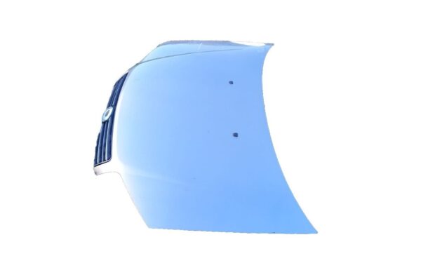COFANO ANTERIORE ORIGINALE FIAT PUNTO 2 SERIE  FARI GRANDI  GRIGIO - immagine 3