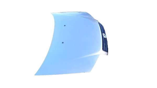 COFANO ANTERIORE ORIGINALE FIAT PUNTO 2 SERIE  FARI GRANDI  GRIGIO - immagine 4