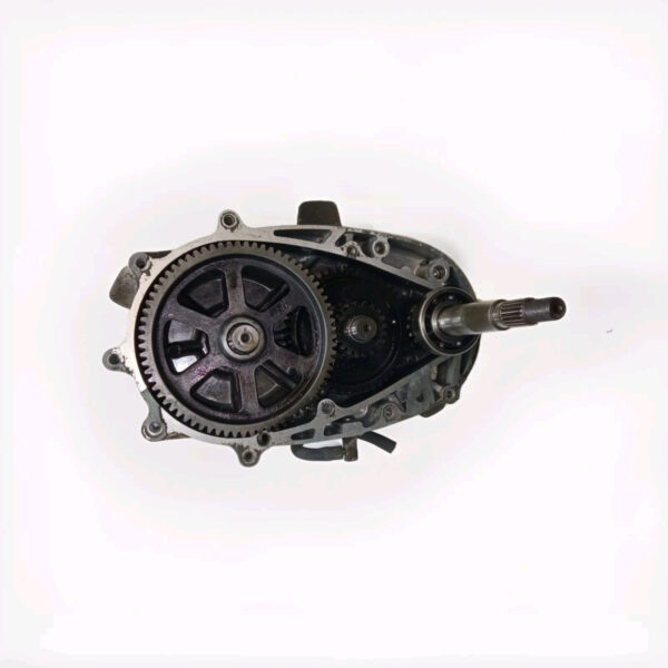 LEJ8 KIT CARTER E INGRANAGGI RUOTA POSTERIORE ORIGINALE KYMCO PEOPLE 250 - immagine 3