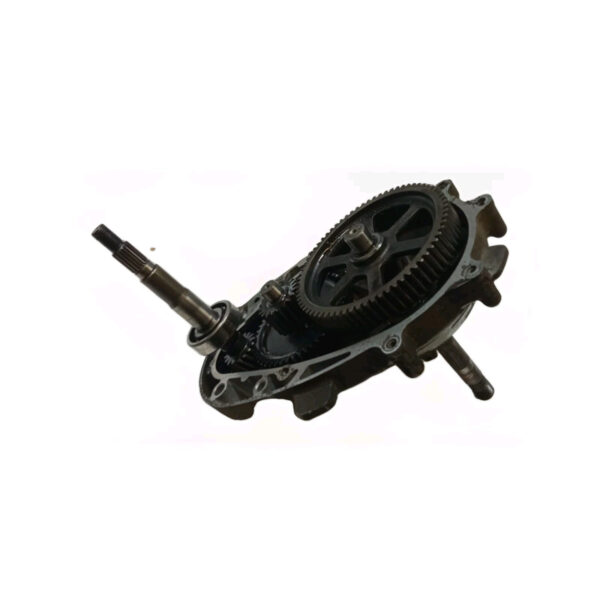 LEJ8 KIT CARTER E INGRANAGGI RUOTA POSTERIORE ORIGINALE KYMCO PEOPLE 250 - immagine 7