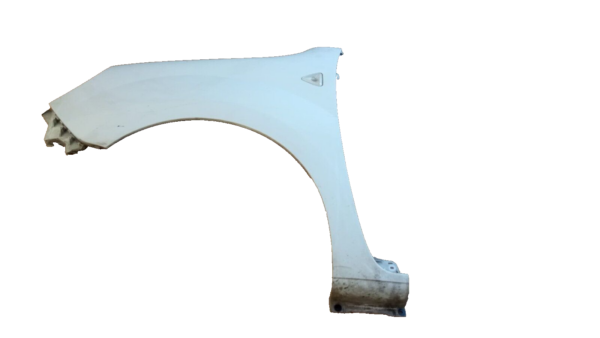 PARAFANGO ANTERIORE SX RENAULT KANGOO IV SERIE 2008 AL 2021 - immagine 3
