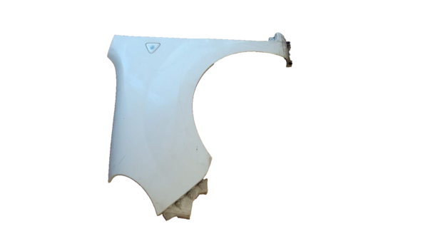 PARAFANGO ANTERIORE SX RENAULT KANGOO IV SERIE 2008 AL 2021