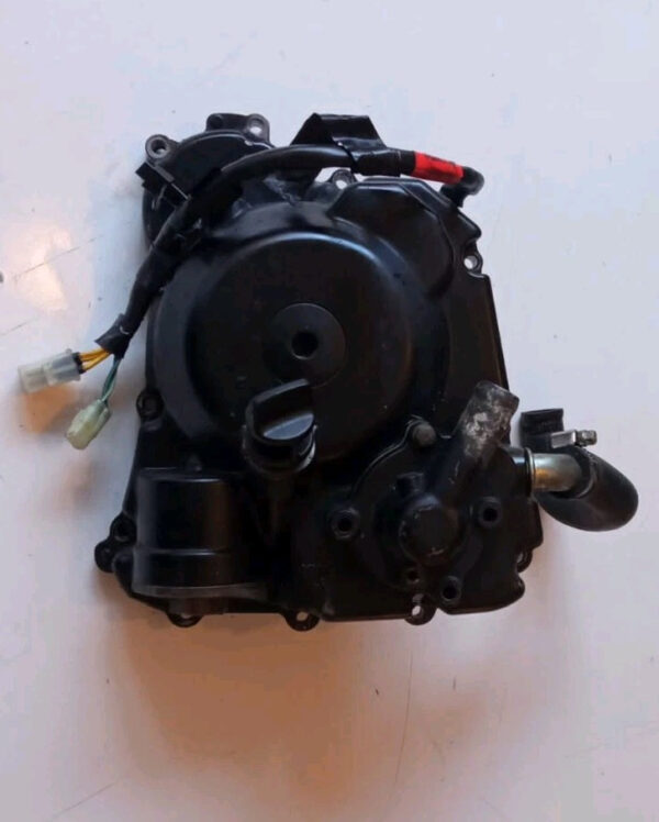 LEA7 1 CARTER E STATORE KYMCO PEOPLE GTI 300 2010 2011 2012 2013 2014 - immagine 5