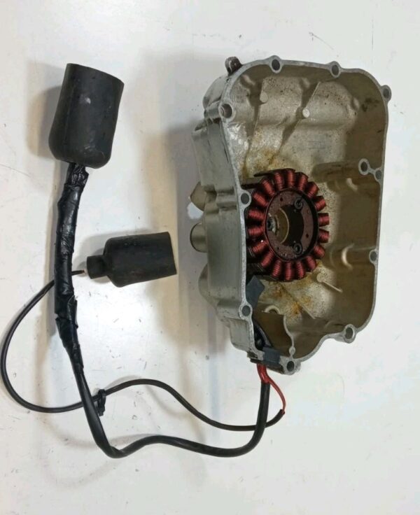 5GM00 CARTER E STATORE YAMAHA MAJESTY DX 250 1999 2000 2001 2002 - immagine 3